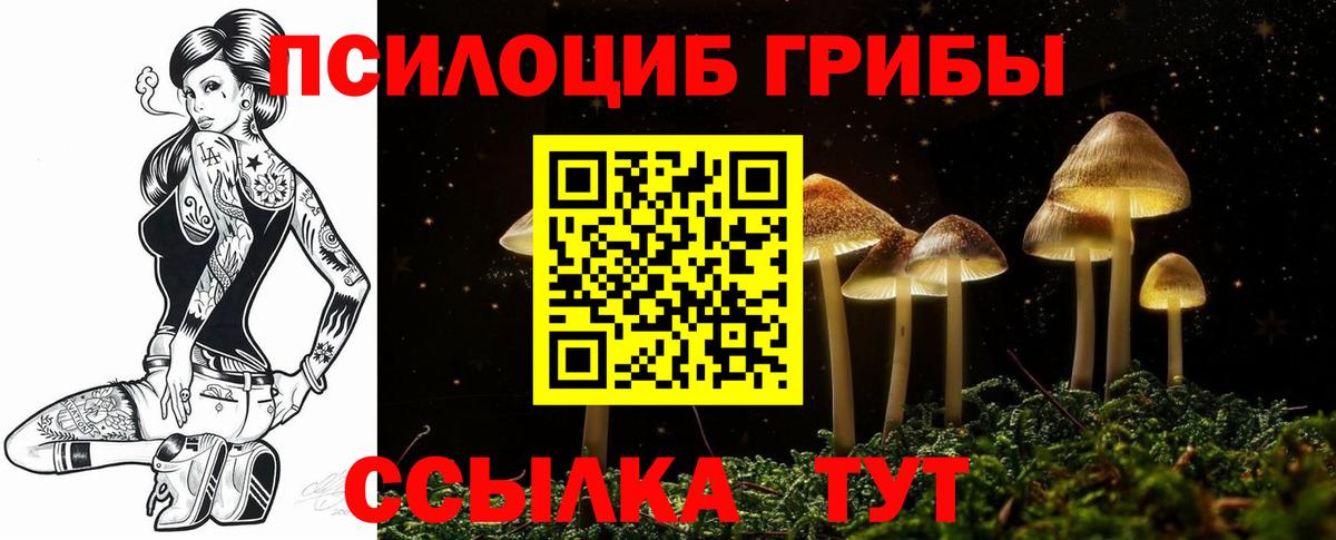 Галлюциногенные грибы прущие грибы  Вход с VPN  Буйнакск  Галлюциногенные грибы Cubensis 